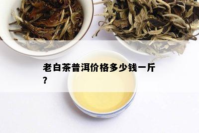 老白茶普洱价格多少钱一斤？