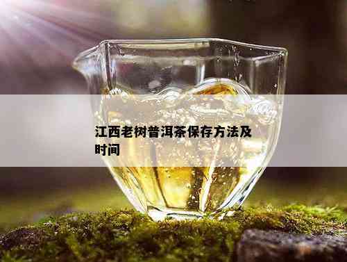 江西老树普洱茶保存方法及时间