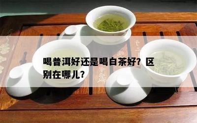 喝普洱好还是喝白茶好？区别在哪儿？