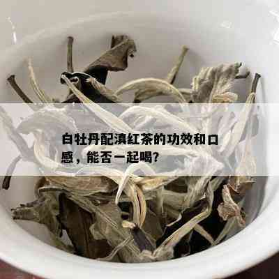 白牡丹配滇红茶的功效和口感，能否一起喝？