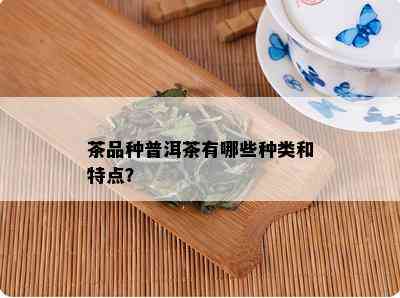 茶品种普洱茶有哪些种类和特点？