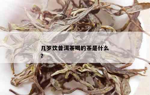 几岁饮普洱茶喝的茶是什么？