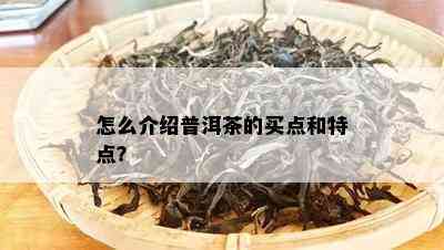 怎么介绍普洱茶的买点和特点？