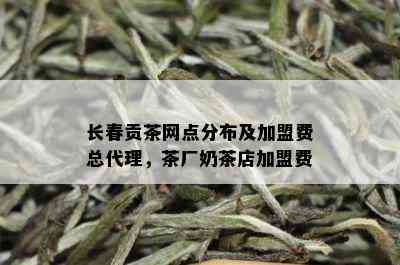 长春贡茶网点分布及加盟费总代理，茶厂奶茶店加盟费