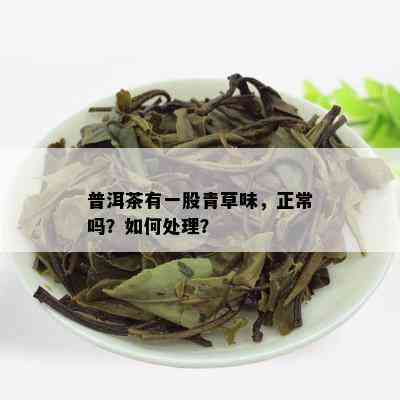 普洱茶有一股青草味，正常吗？如何处理？