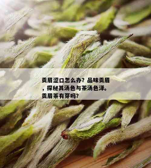 贡眉涩口怎么办？品味贡眉，探秘其汤色与茶汤色泽。贡眉茶有芽吗？