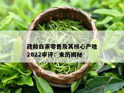 政和白茶零售及其核心产地2022审评：来历揭秘