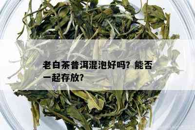 老白茶普洱混泡好吗？能否一起存放？