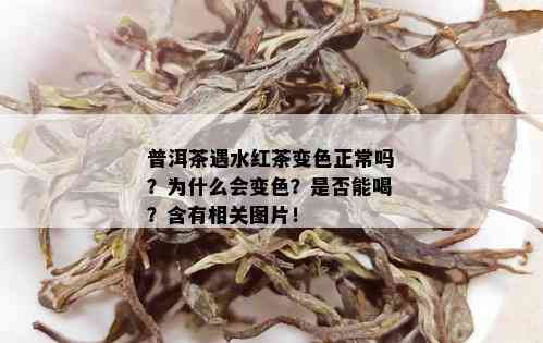 普洱茶遇水红茶变色正常吗？为什么会变色？是否能喝？含有相关图片！