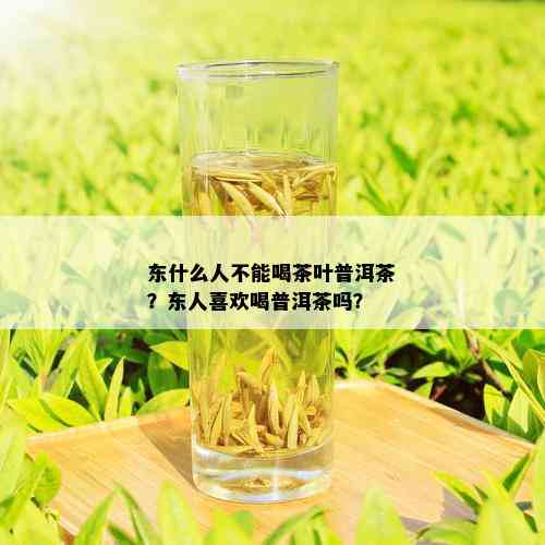 东什么人不能喝茶叶普洱茶？东人喜欢喝普洱茶吗？