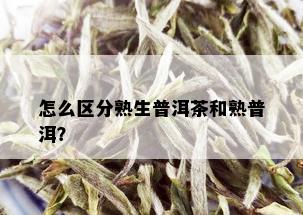 怎么区分熟生普洱茶和熟普洱？