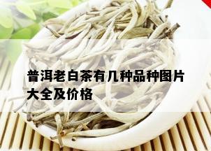 普洱老白茶有几种品种图片大全及价格