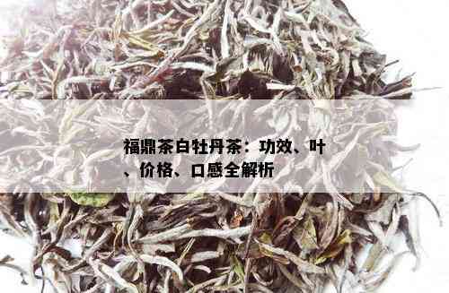 福鼎茶白牡丹茶：功效、叶、价格、口感全解析