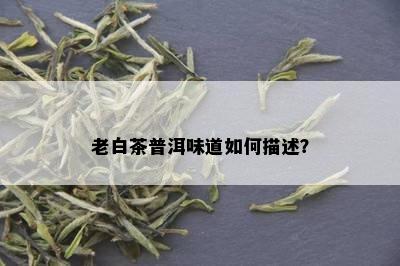 老白茶普洱味道如何描述？