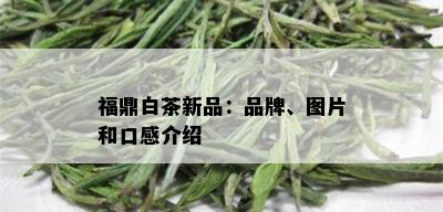 福鼎白茶新品：品牌、图片和口感介绍