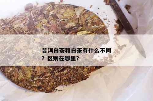 普洱白茶和白茶有什么不同？区别在哪里？