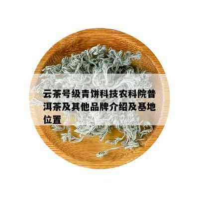 云茶号级青饼科技农科院普洱茶及其他品牌介绍及基地位置