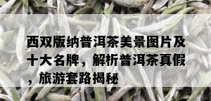 西双版纳普洱茶美景图片及十大名牌，解析普洱茶真假，旅游套路揭秘