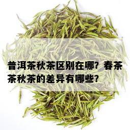 普洱茶秋茶区别在哪？春茶茶秋茶的差异有哪些？