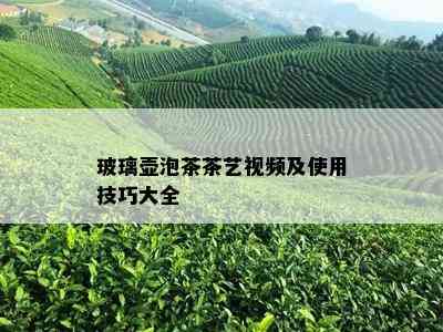 玻璃壶泡茶茶艺视频及使用技巧大全