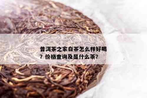 普洱茶之家白茶怎么样好喝？价格查询及是什么茶？