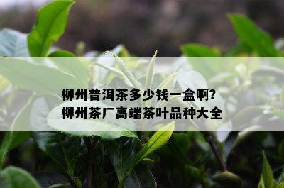 柳州普洱茶多少钱一盒啊？柳州茶厂高端茶叶品种大全