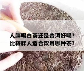 人胖喝白茶还是普洱好喝？比较胖人适合饮用哪种茶？