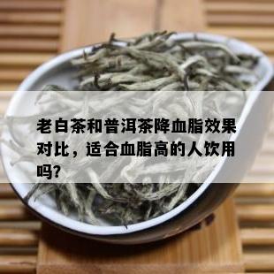 老白茶和普洱茶降血脂效果对比，适合血脂高的人饮用吗？