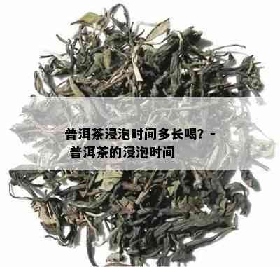 普洱茶浸泡时间多长喝？- 普洱茶的浸泡时间