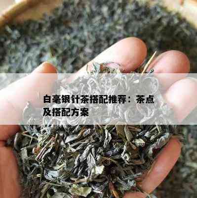 白毫银针茶搭配推荐：茶点及搭配方案