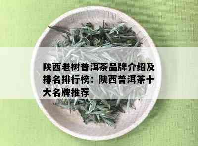 陕西老树普洱茶品牌介绍及排名排行榜：陕西普洱茶十大名牌推荐