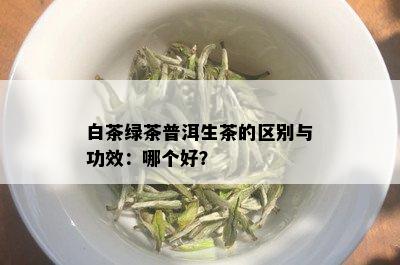 白茶绿茶普洱生茶的区别与功效：哪个好？