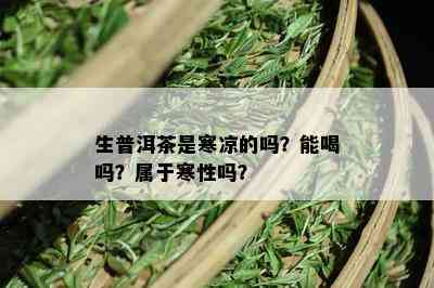 生普洱茶是寒凉的吗？能喝吗？属于寒性吗？