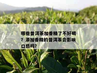 哪些普洱茶加香精了不好喝？添加香精的普洱茶会影响口感吗？