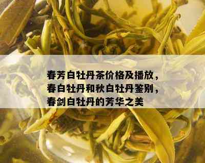 春芳白牡丹茶价格及播放，春白牡丹和秋白牡丹鉴别，春剑白牡丹的芳华之美