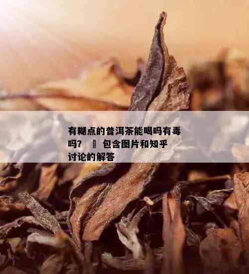 有糊点的普洱茶能喝吗有吗？ – 包含图片和知乎讨论的解答