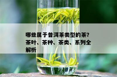 哪些属于普洱茶类型的茶？茶叶、茶种、茶类、系列全解析