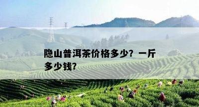 隐山普洱茶价格多少？一斤多少钱？