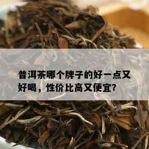 普洱茶哪个牌子的好一点又好喝，性价比高又便宜？