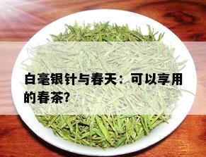 白毫银针与春天：可以享用的春茶？