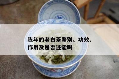 陈年的老白茶鉴别、功效、作用及是否还能喝