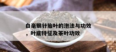 白毫银针胎叶的泡法与功效，叶底特征及茶叶功效