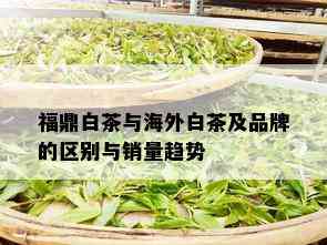 福鼎白茶与海外白茶及品牌的区别与销量趋势