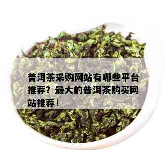 普洱茶采购网站有哪些平台推荐？更大的普洱茶购买网站推荐！