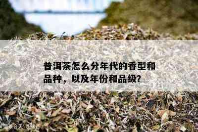 普洱茶怎么分年代的香型和品种，以及年份和品级？