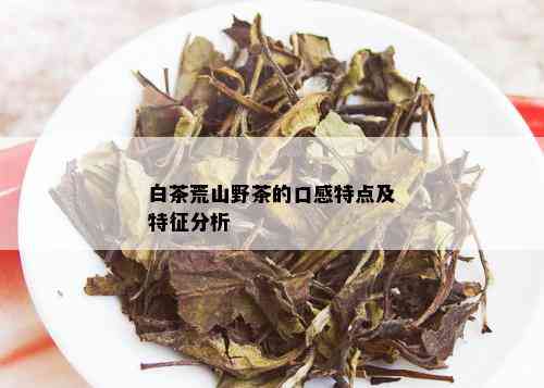 白茶荒山野茶的口感特点及特征分析