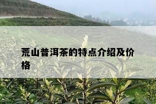 荒山普洱茶的特点介绍及价格