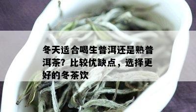 冬天适合喝生普洱还是熟普洱茶？比较优缺点，选择更好的冬茶饮