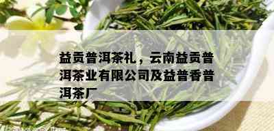 益贡普洱茶礼，云南益贡普洱茶业有限公司及益普香普洱茶厂