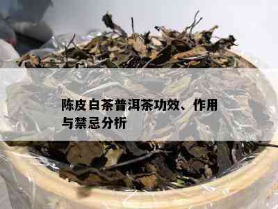 陈皮白茶普洱茶功效、作用与禁忌分析